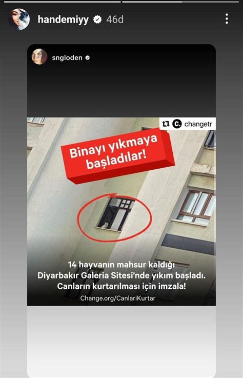 60 saniyenin altındaki Instagram Hikayeleri artık kliplere bölünmüyor