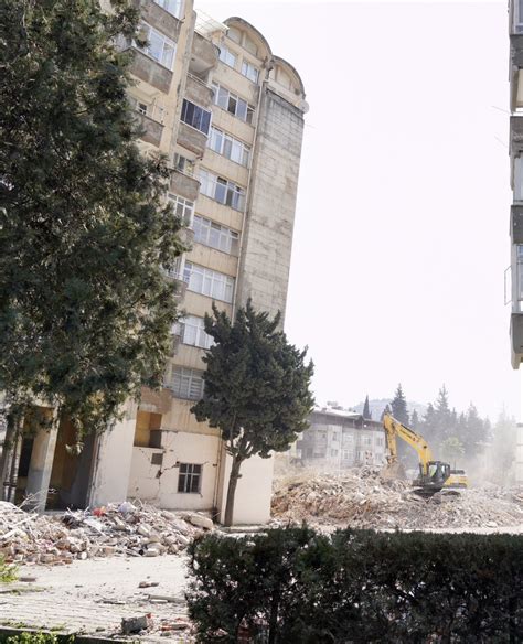 Bal Arıları 1970’lerdekinin Sadece Yarısı Kadar Yaşıyor