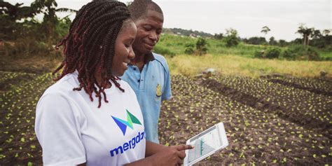 Ganalı agtech Farmerline, Hollandalı yatırımcı Oikocredit’ten 1.5 milyon dolar topladı