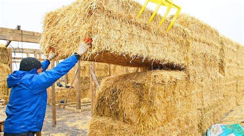 Hayvan Geçişinde Bambu Nasıl Elde Edilir